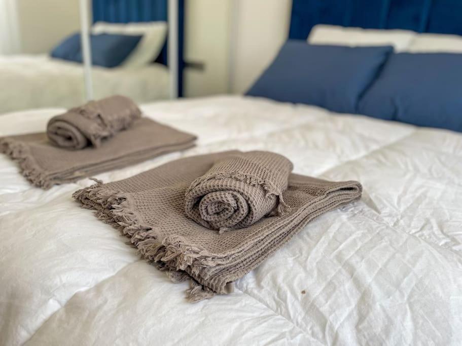 Le Lagon Bleu - Appt Wifi Parking Balcon Le Puy-en-Velay Exteriör bild
