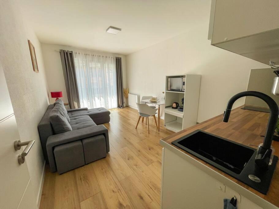 Le Lagon Bleu - Appt Wifi Parking Balcon Le Puy-en-Velay Exteriör bild