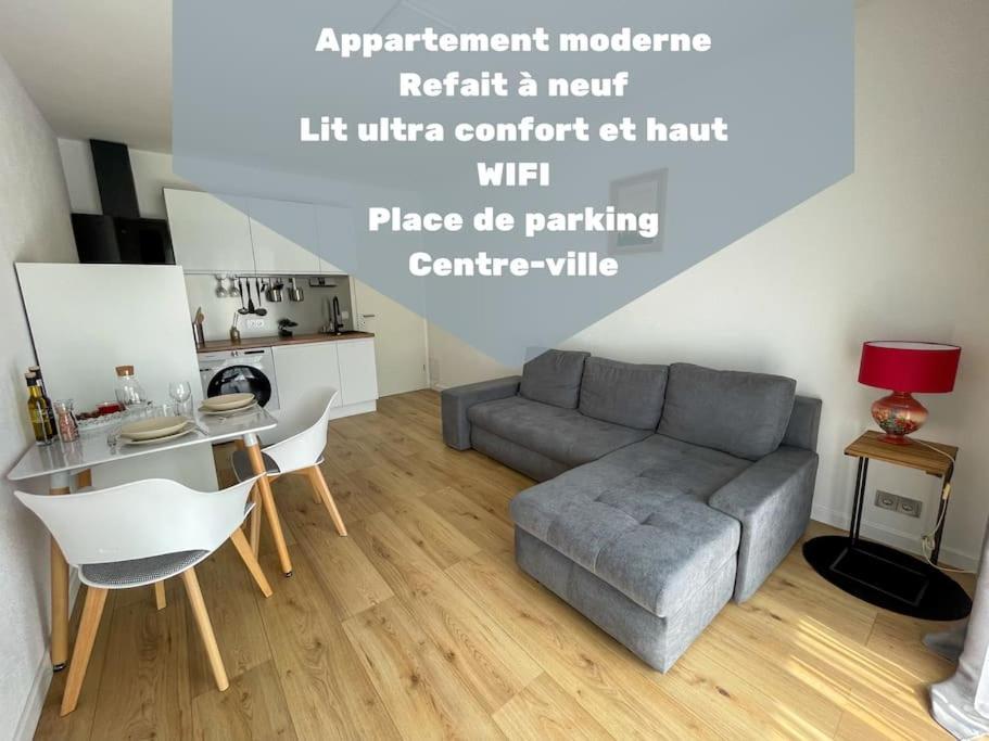 Le Lagon Bleu - Appt Wifi Parking Balcon Le Puy-en-Velay Exteriör bild